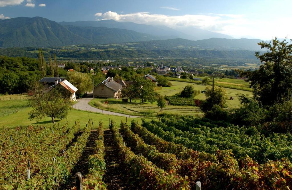 La Croix De Savoie & Spa Les Carroz d'Arâches Exterior foto