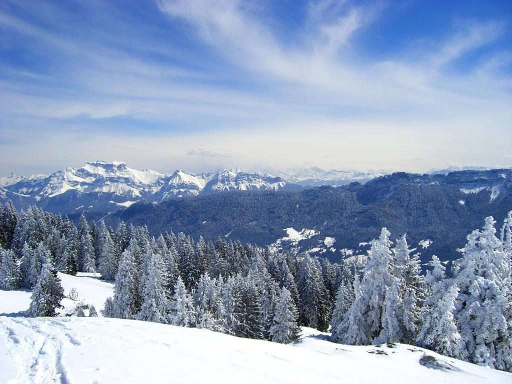 La Croix De Savoie & Spa Les Carroz d'Arâches Exterior foto